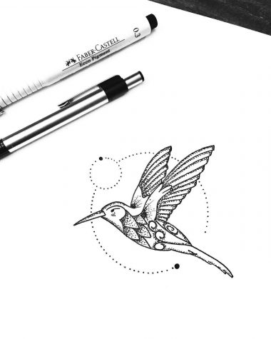 Эскиз колибри