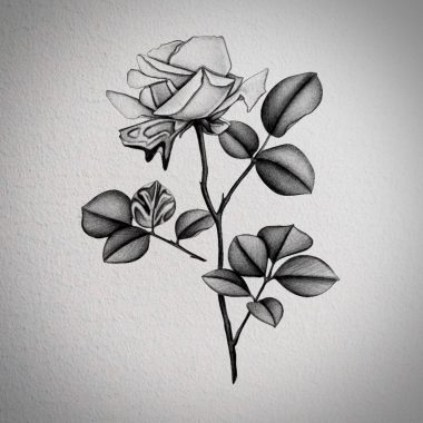 Роза, эскиз татуировки в стиле випшейдинг