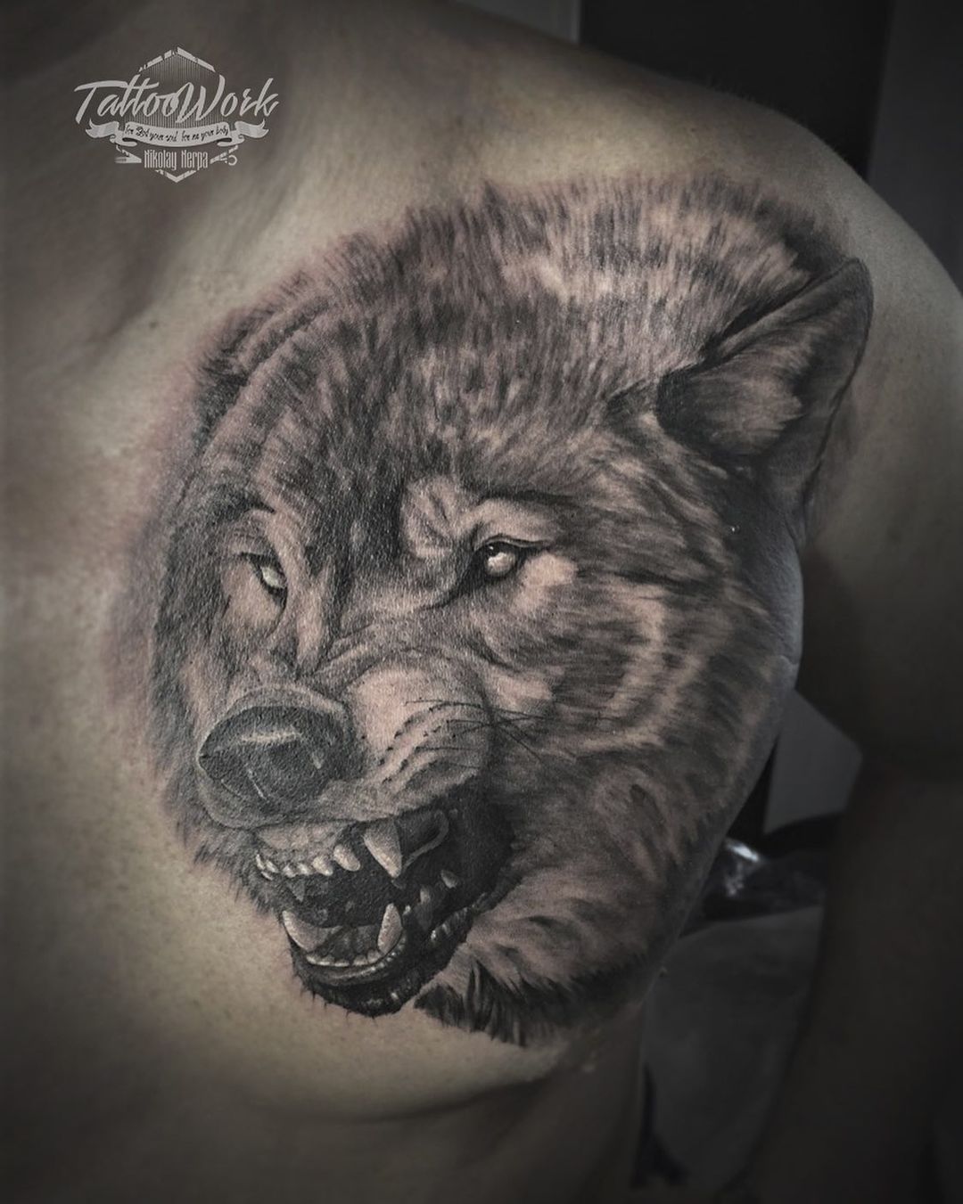Значение татуировки оскал волка