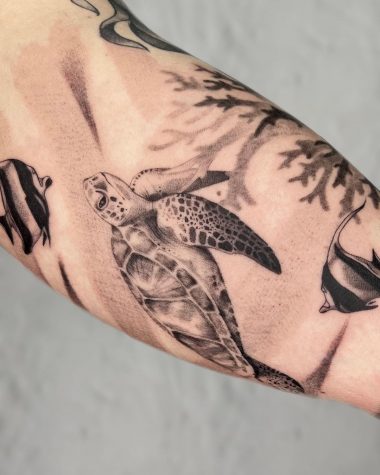 Черепаха, черно-серая татуировка на бицепсе у парня