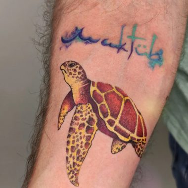 Красно-желтая черепаха, мужская тату на предплечье