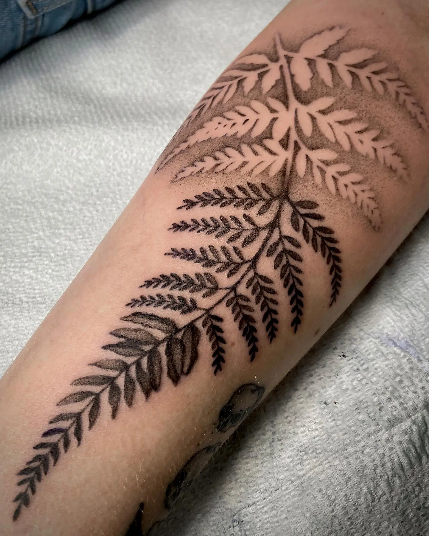 Значение тату с листьями (200+ фото)